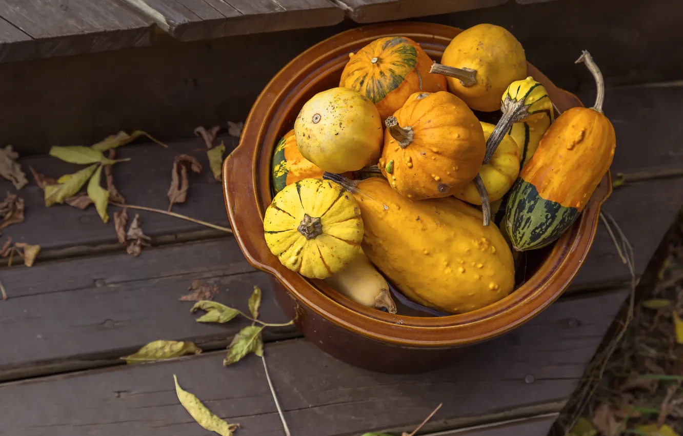 Photo wallpaper autumn, basket, harvest, pumpkin