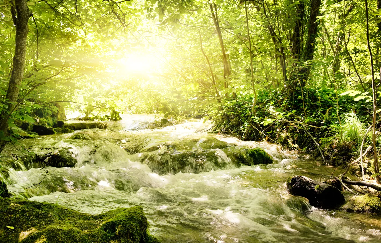 Photo wallpaper greens, river, sun.light, rapid