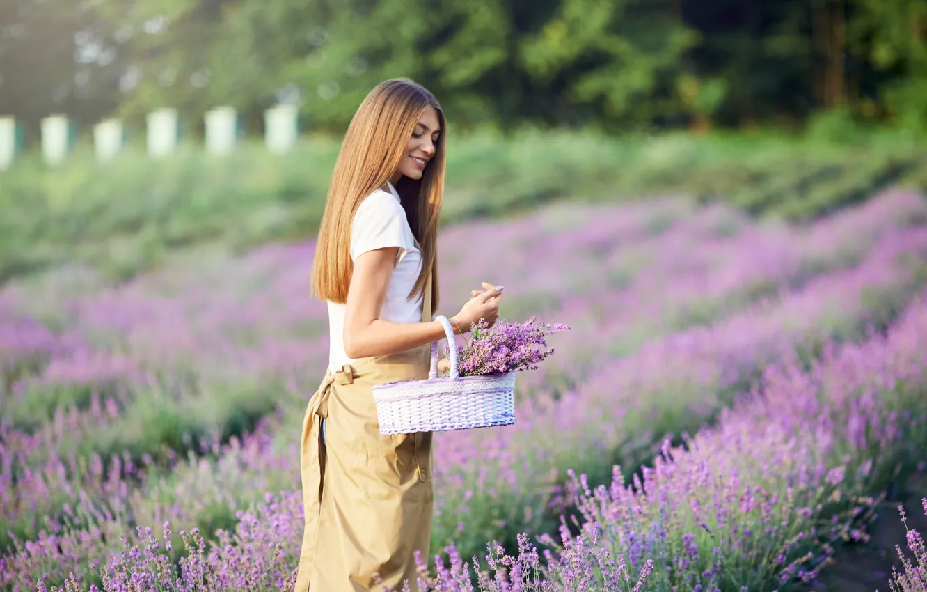 Photo wallpaper field, summer, girl, light, flowers, nature, pose, smile