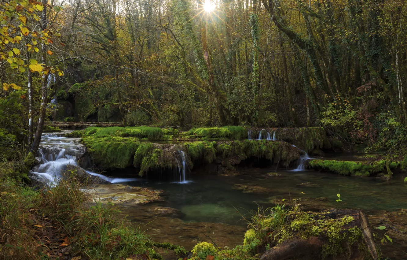 Photo wallpaper forest, trees, stream, France, waterfall, the rays of the sun, Jura, Franche-Comte