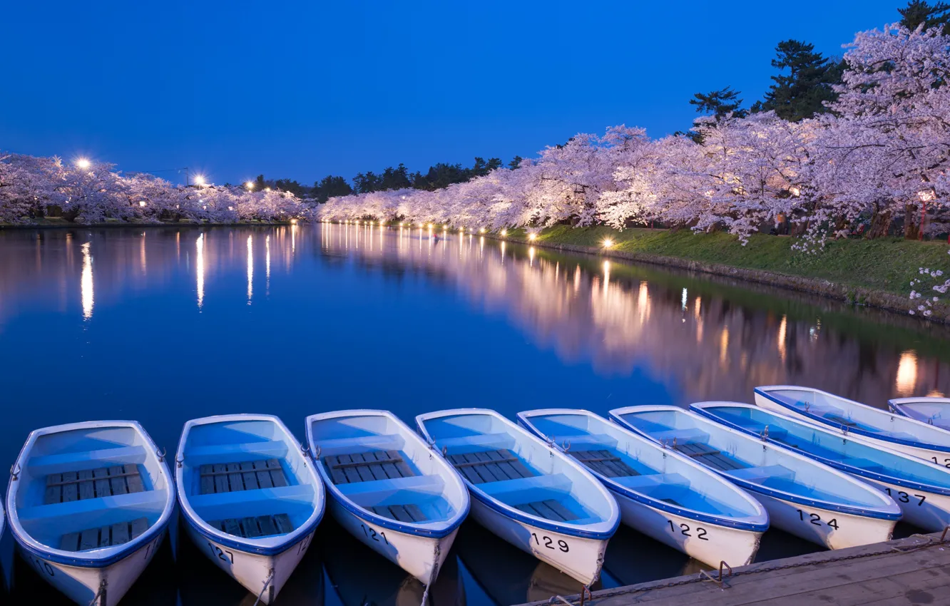 Photo wallpaper trees, lights, pond, Park, boat, the evening, Japan, Sakura
