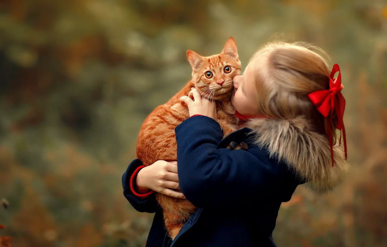 Photo wallpaper cat, cat, animal, girl, child, Marina Freiman