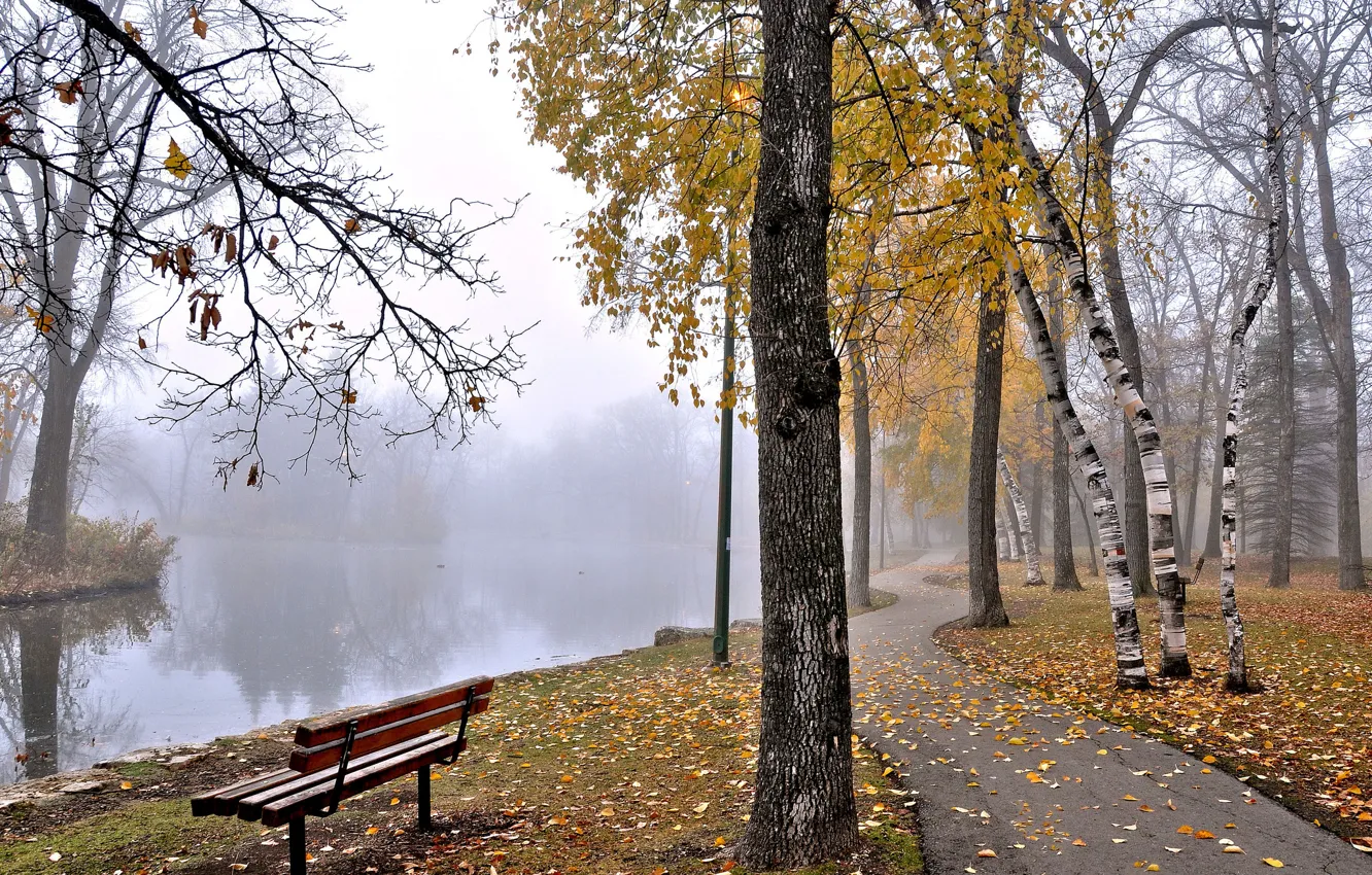 Photo wallpaper autumn, trees, fog, pond, Park, bench