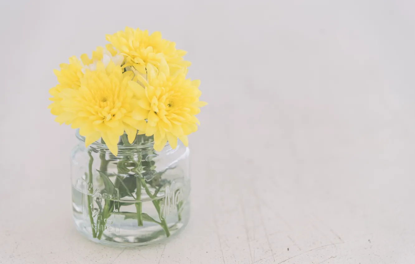 Photo wallpaper flowers, yellow, vase, flower, vase