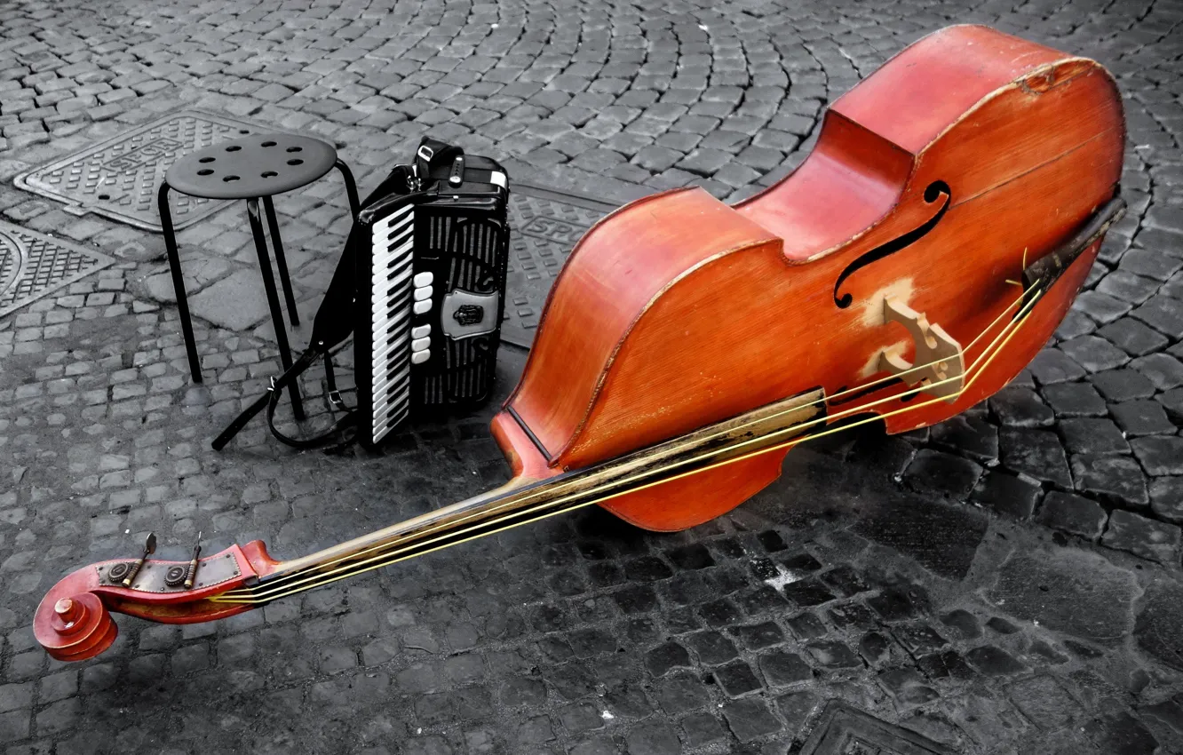 Photo wallpaper violin, double bass, instrumentos, rope