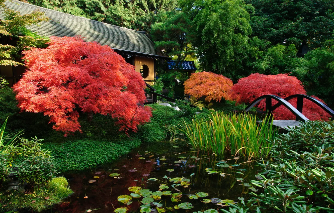 Photo wallpaper pond, garden, Japanese