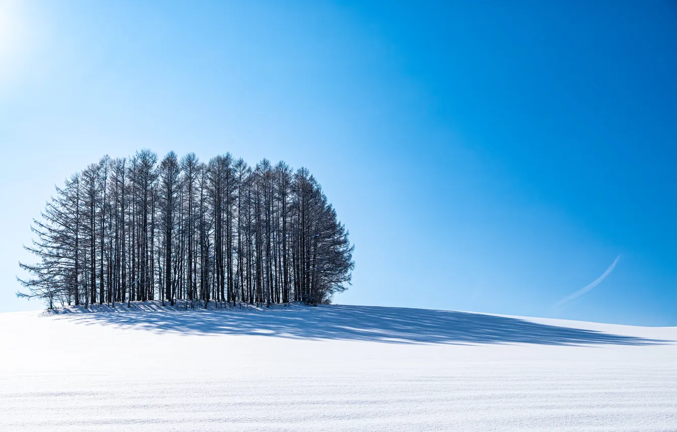 Photo wallpaper winter, snow, nature