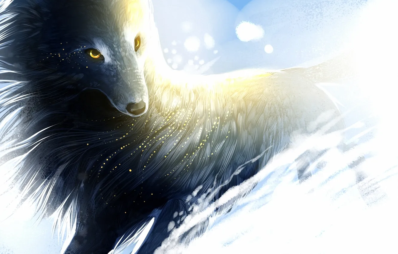 Photo wallpaper snow, the wind, wolf, art, sparks