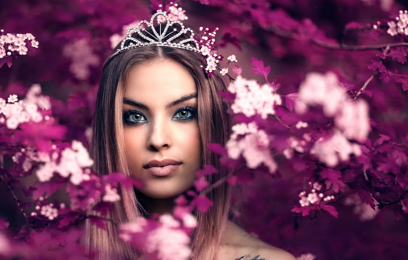 Photo wallpaper the beauty, Alessandro Di Cicco, Queen Fairy