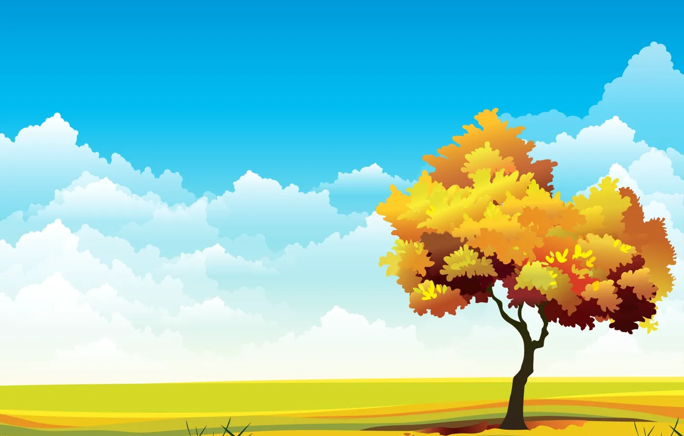 Photo wallpaper the sky, grass, trees