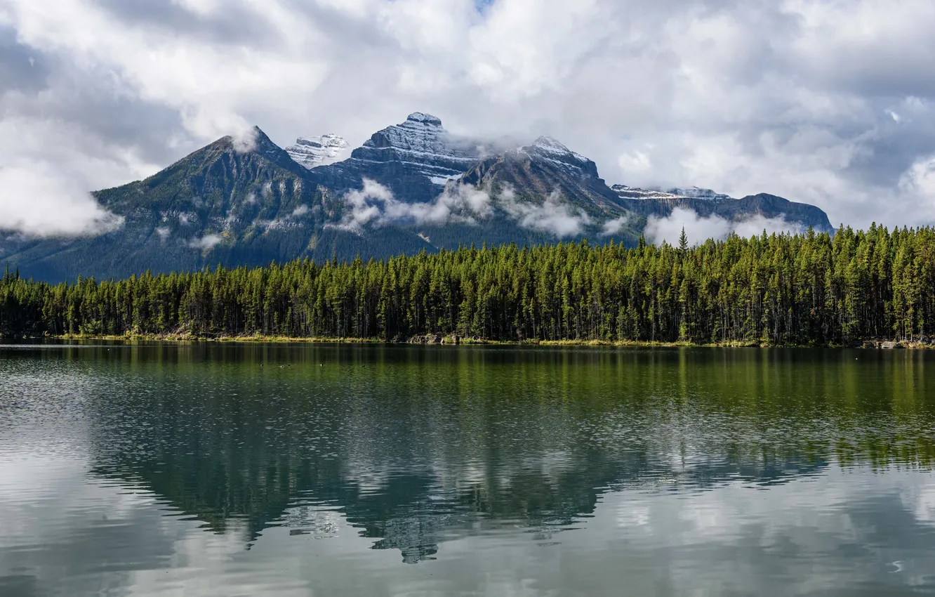 Photo wallpaper forest, clouds, mountains, lake, Canada