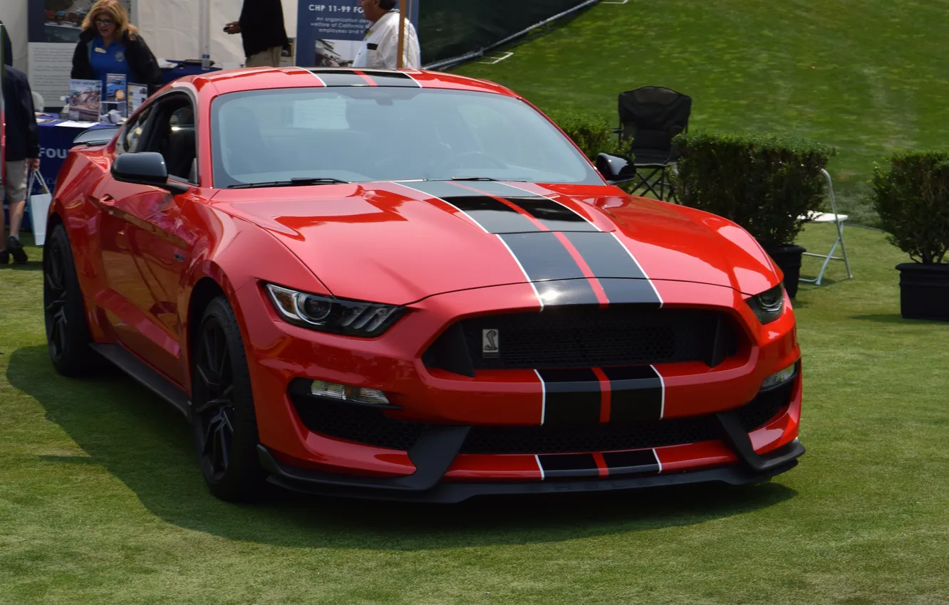 Photo wallpaper mustang, red, muscle, new, monterey, motor, ridiculous, rich people