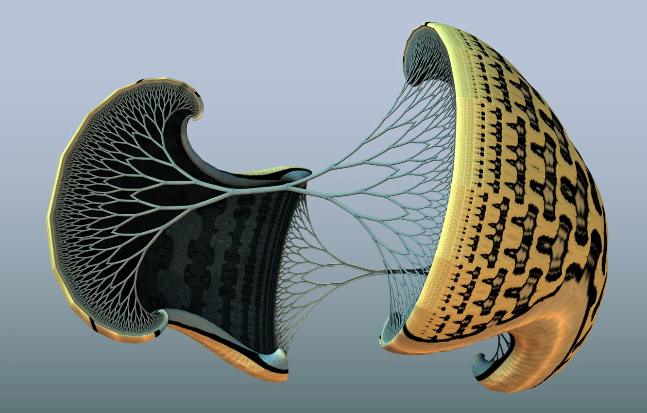 Photo wallpaper macro, something, grey background