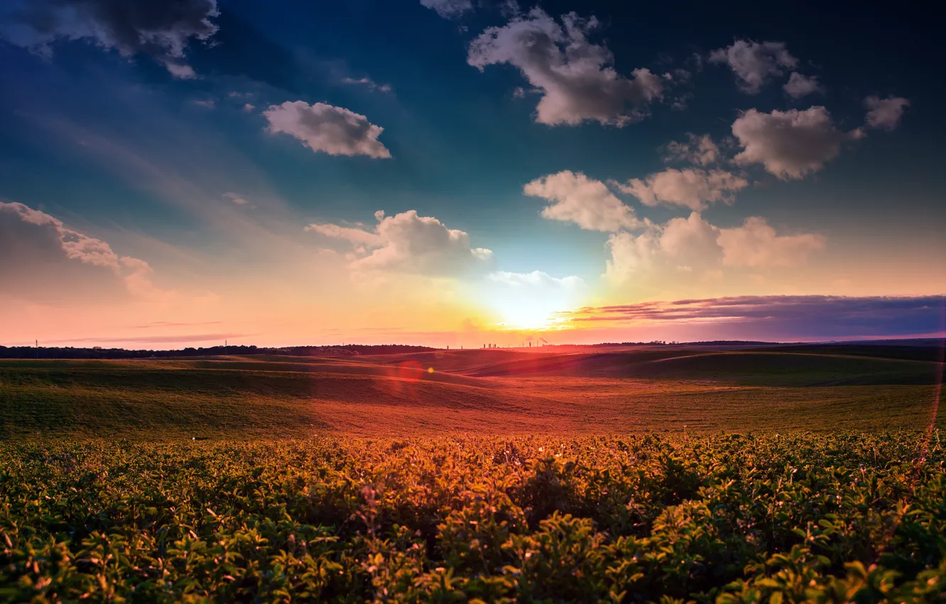 Photo wallpaper greens, field, the sky, the sun, clouds, dawn