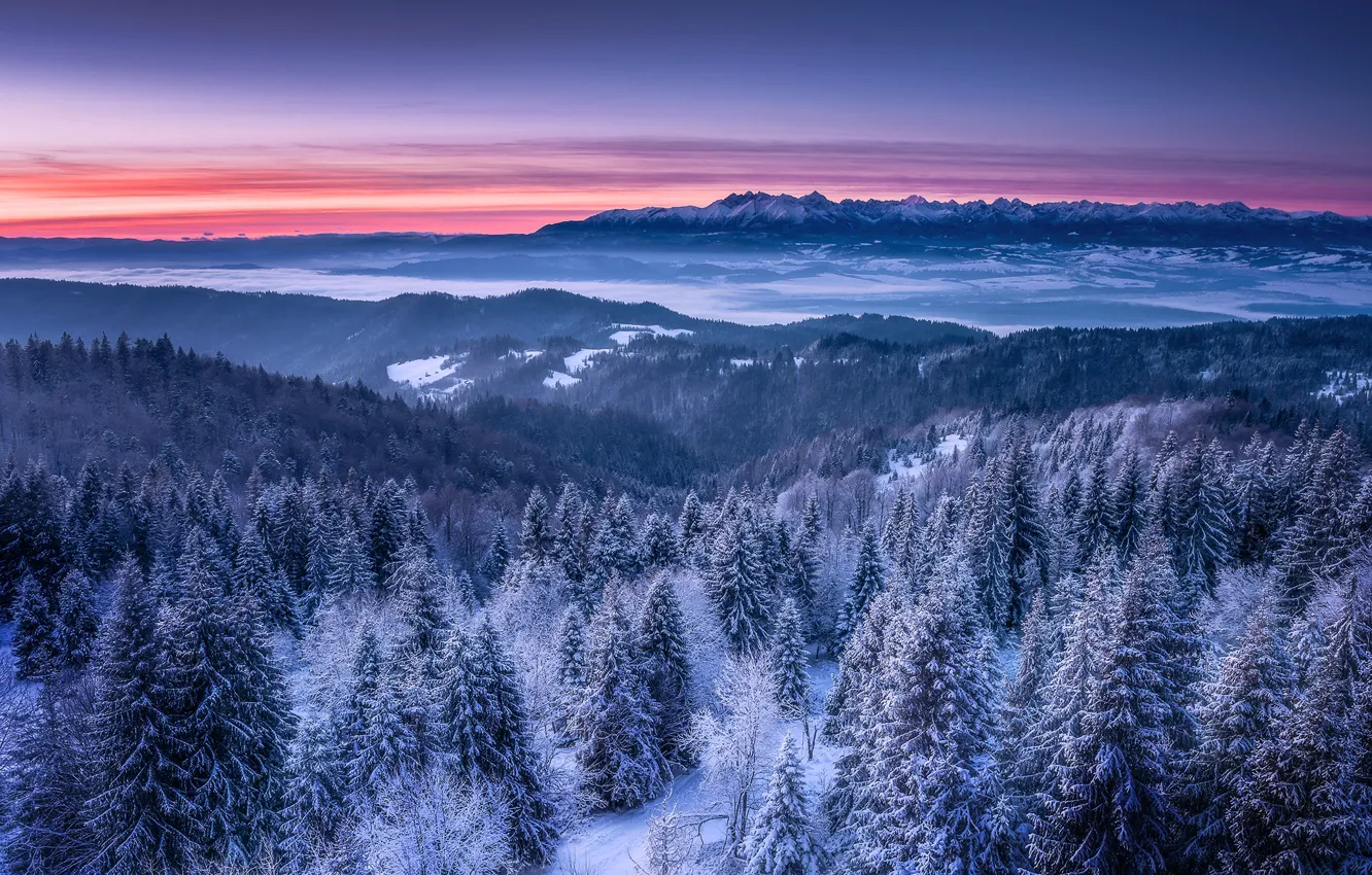 Photo wallpaper winter, snow, landscape, mountains, nature, morning, forest, dawn