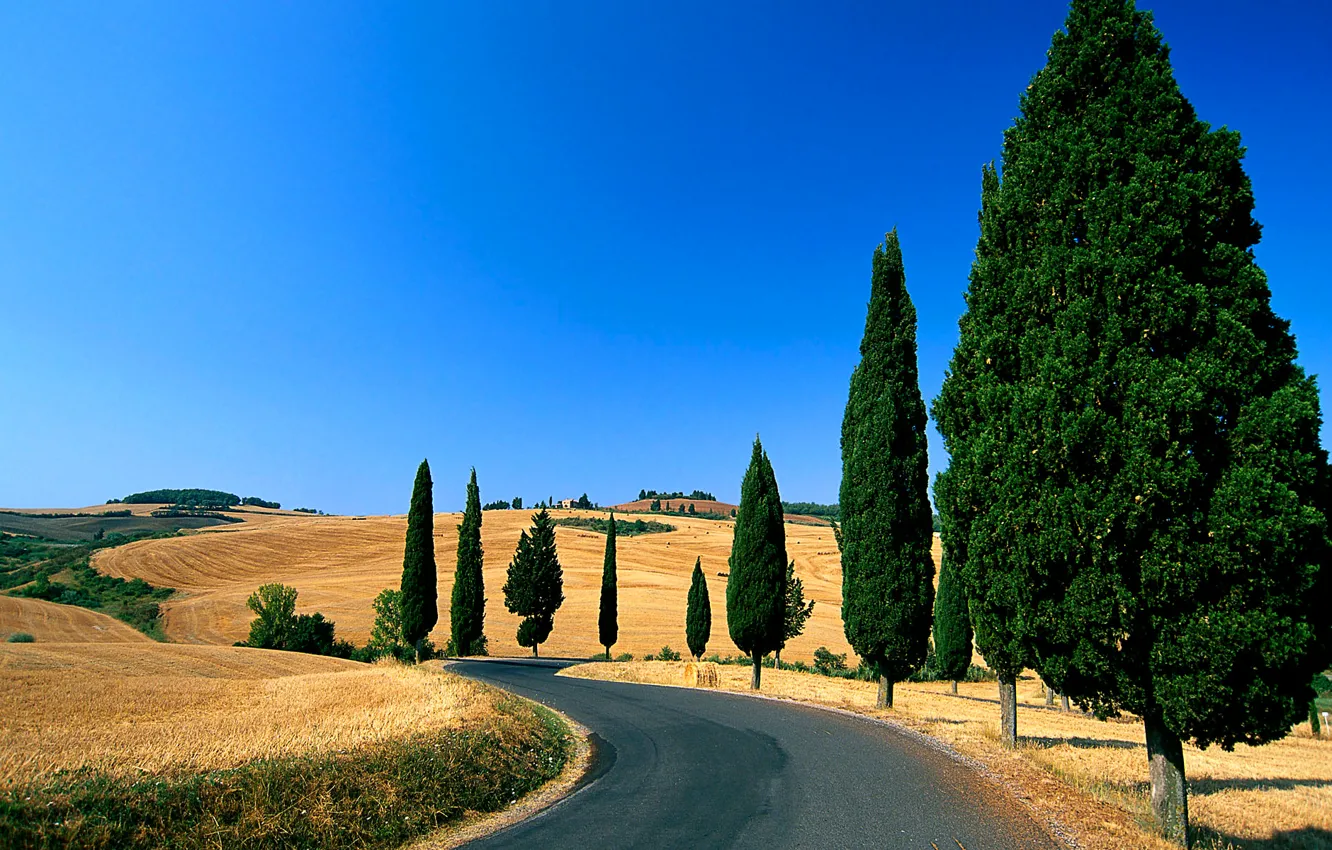 Photo wallpaper road, field, the sky, trees, hills, Italy, Tuscany