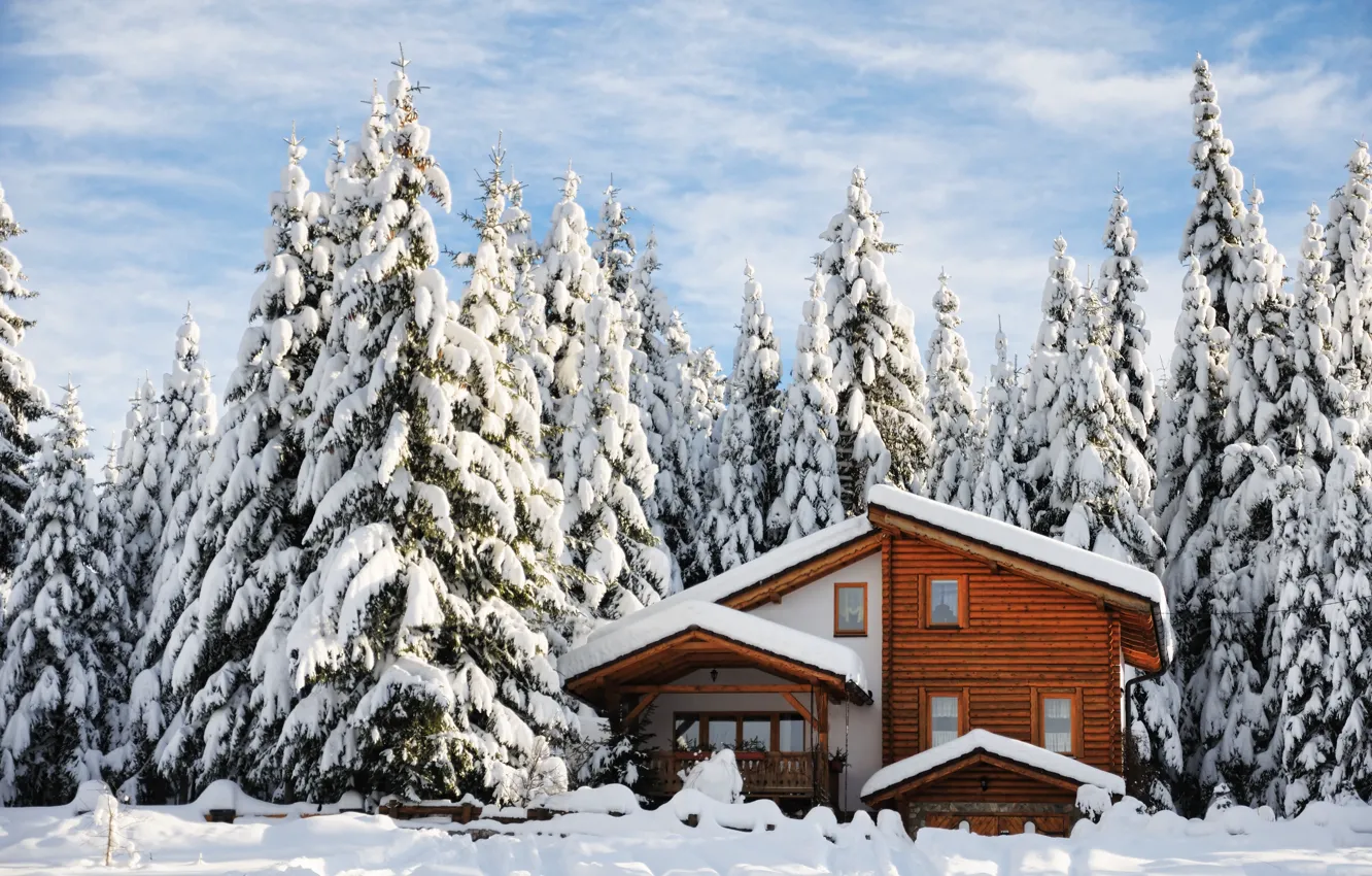 Photo wallpaper winter, snow, trees, landscape, nature, winter, tree, house