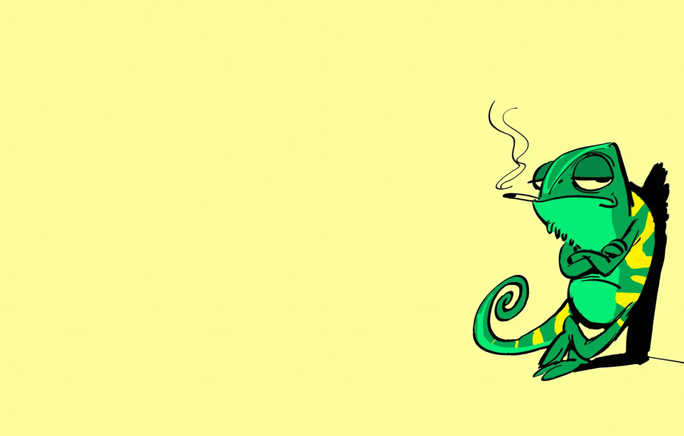 Photo wallpaper green, chameleon, minimalism, lizard, cigarette, serious, chameleon
