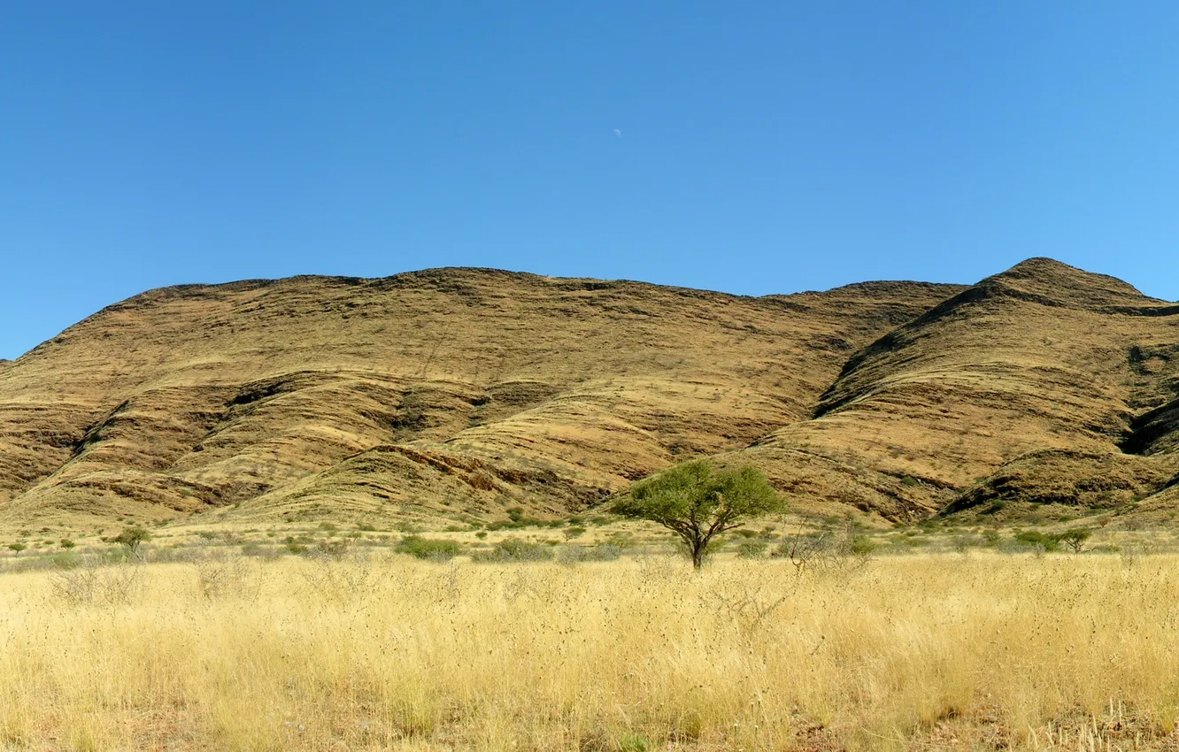 Photo wallpaper the sky, grass, trees, landscape, mountains, nature, photo, hills