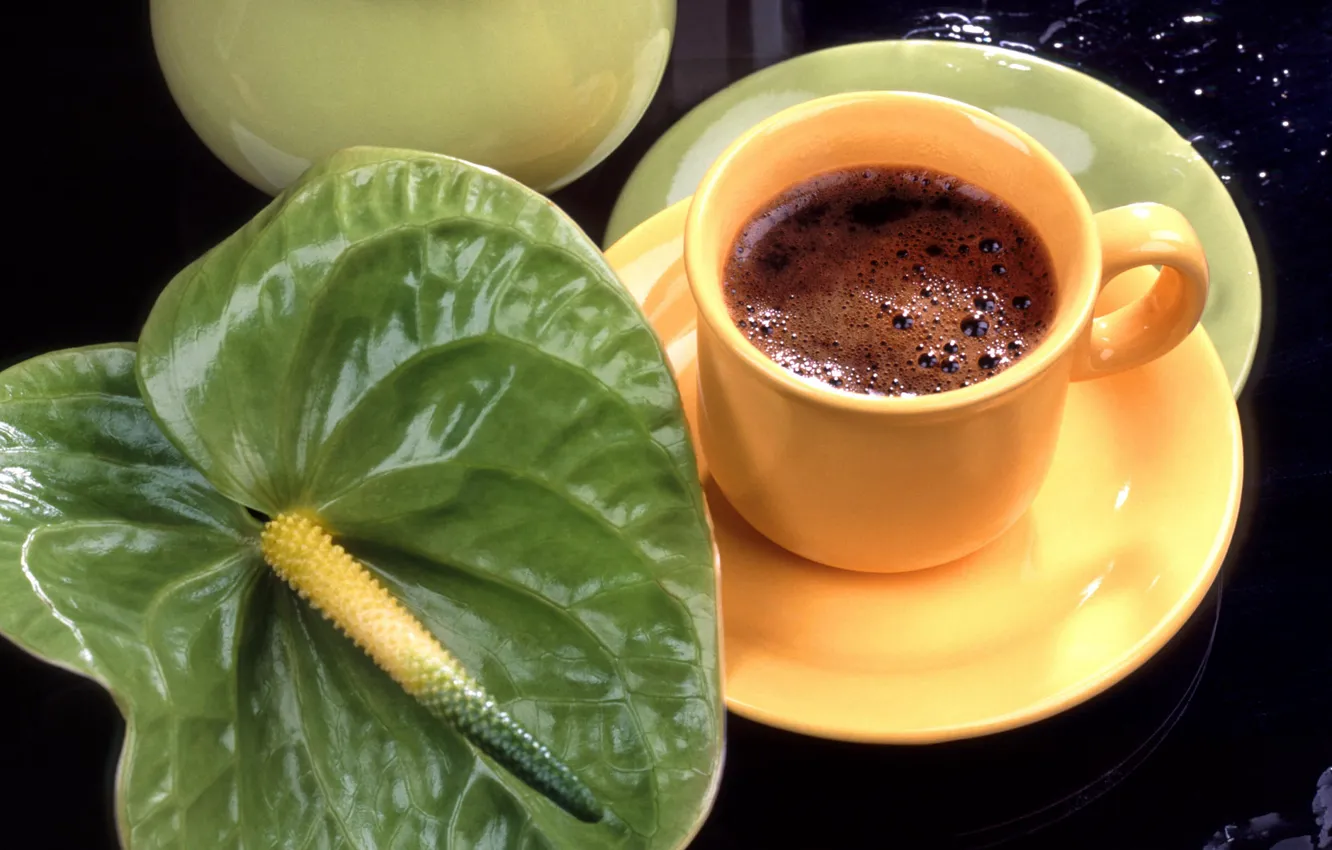 Photo wallpaper flower, coffee, Cup, Anthurium
