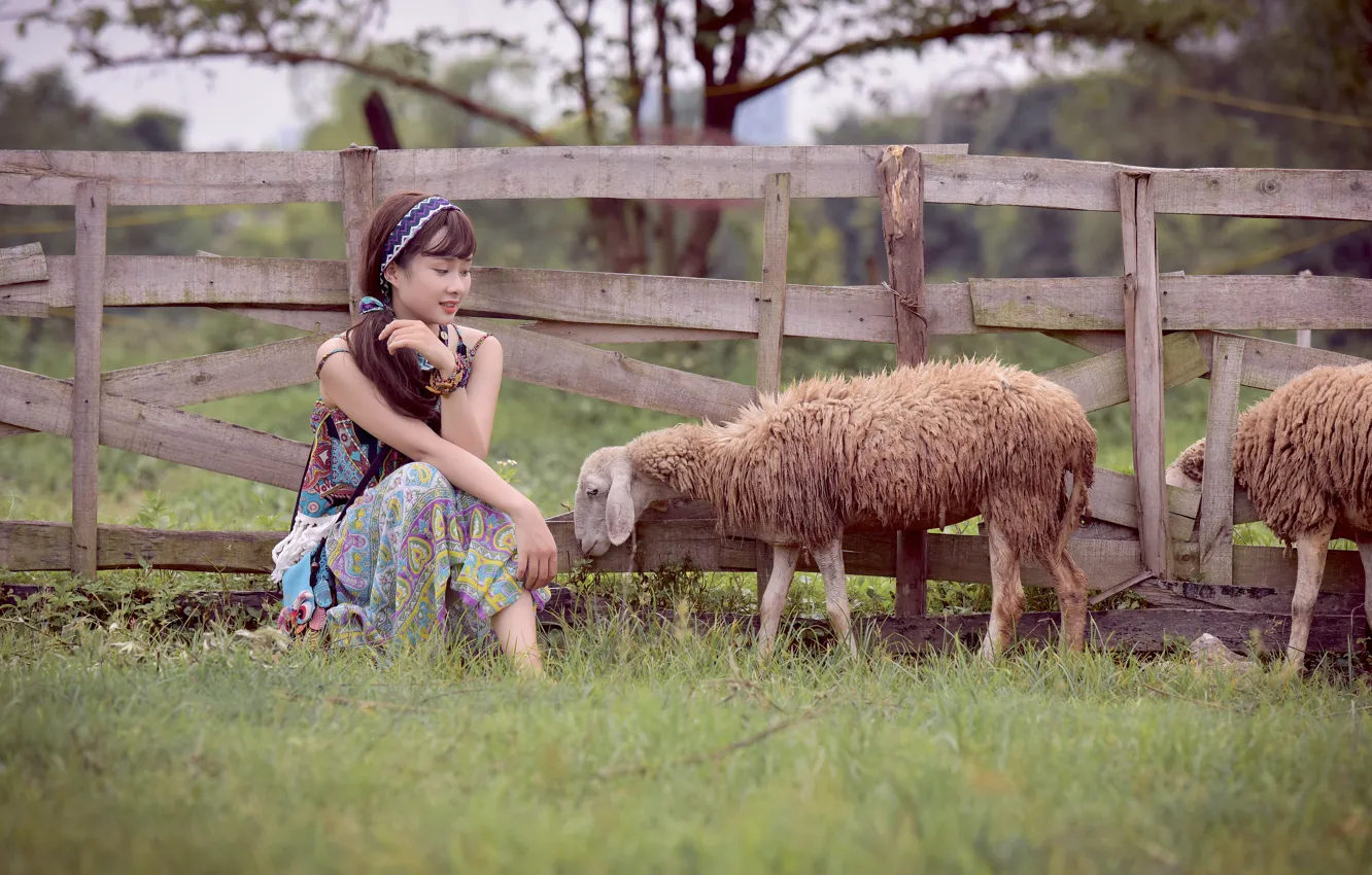 Photo wallpaper girl, face, the fence, sheep, East