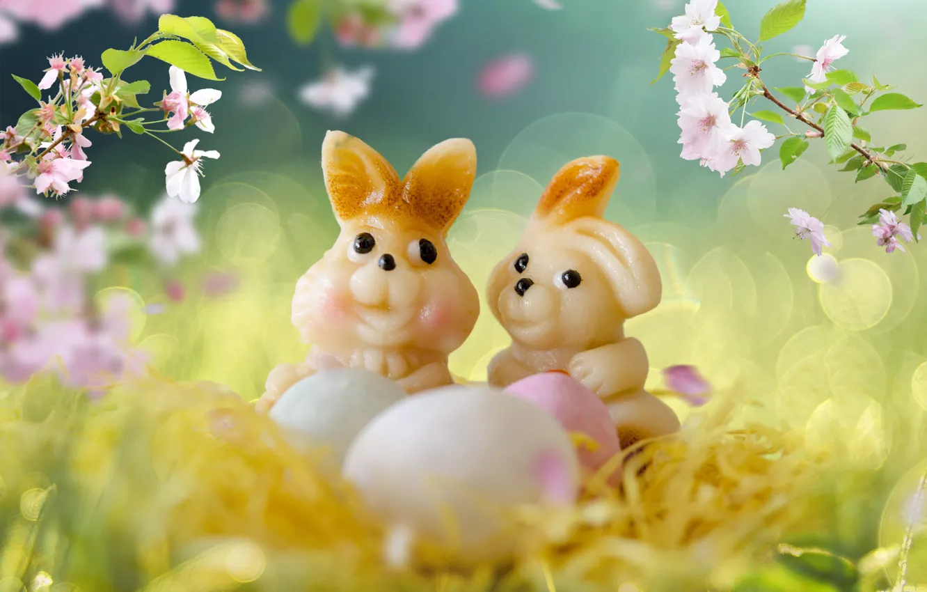 Photo wallpaper look, flowers, branches, holiday, collage, glade, eggs, spring