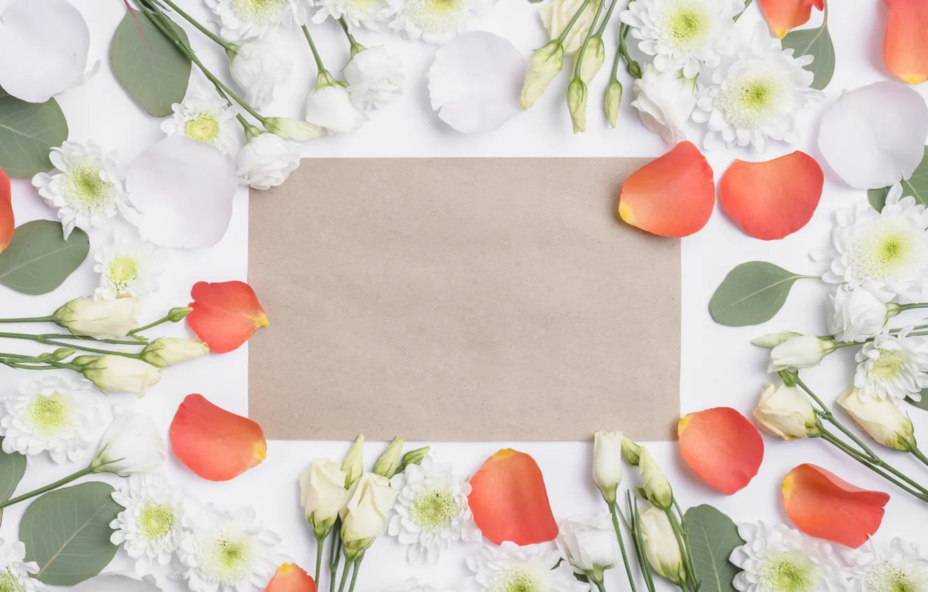 Photo wallpaper flowers, roses, petals, chrysanthemum, eustoma