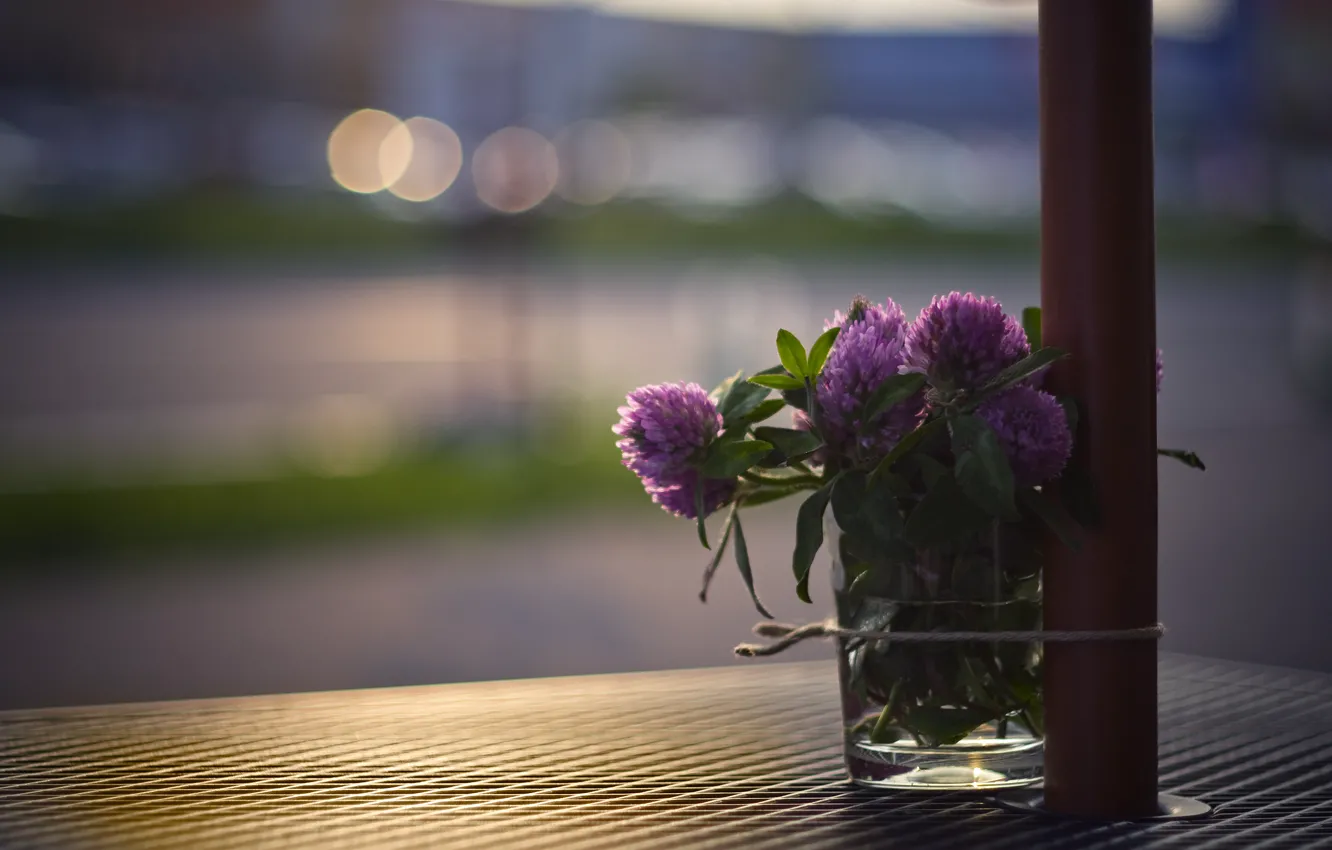Photo wallpaper macro, light, flowers, glass, glare, table, street, bouquet