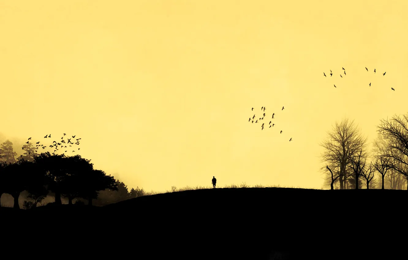 Photo wallpaper the sky, trees, sunset, birds, people, silhouette