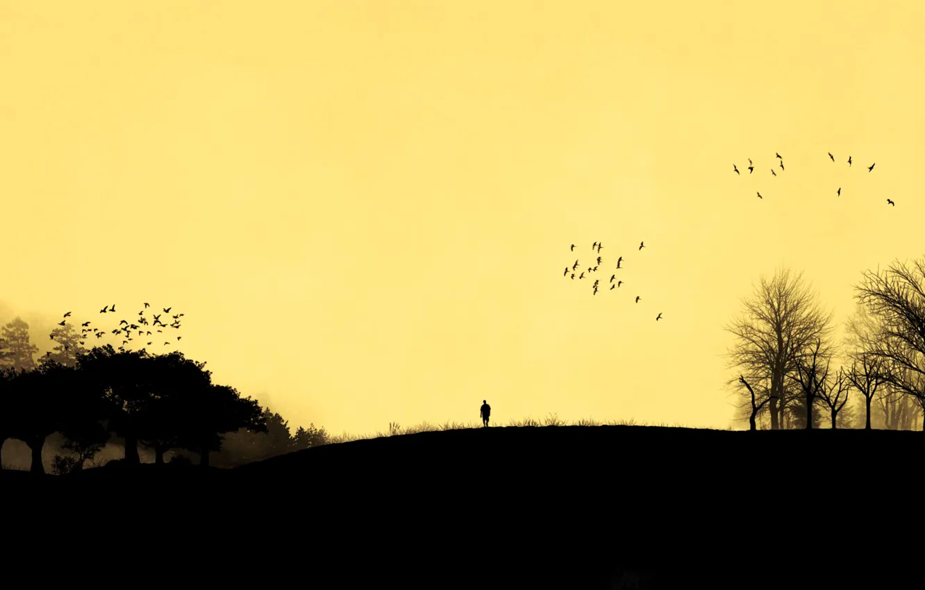 Photo wallpaper the sky, trees, sunset, bird, people, silhouette