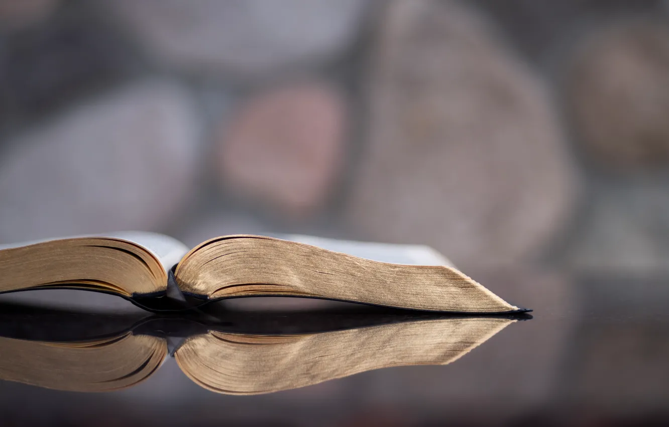 Photo wallpaper Christian, Bible, Aaron Burden, Holy Bible