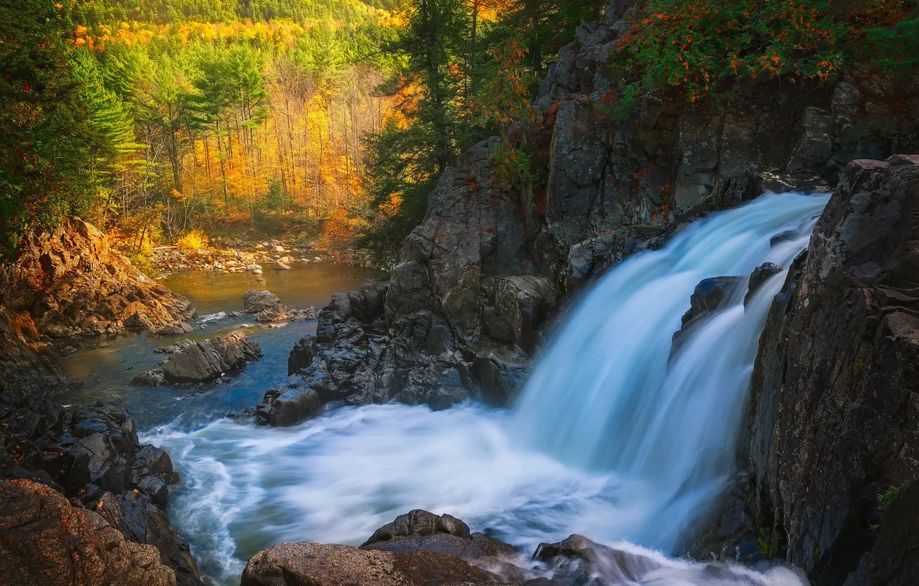 Photo wallpaper autumn, forest, river, rocks, waterfall, Adirondack Park, New York State