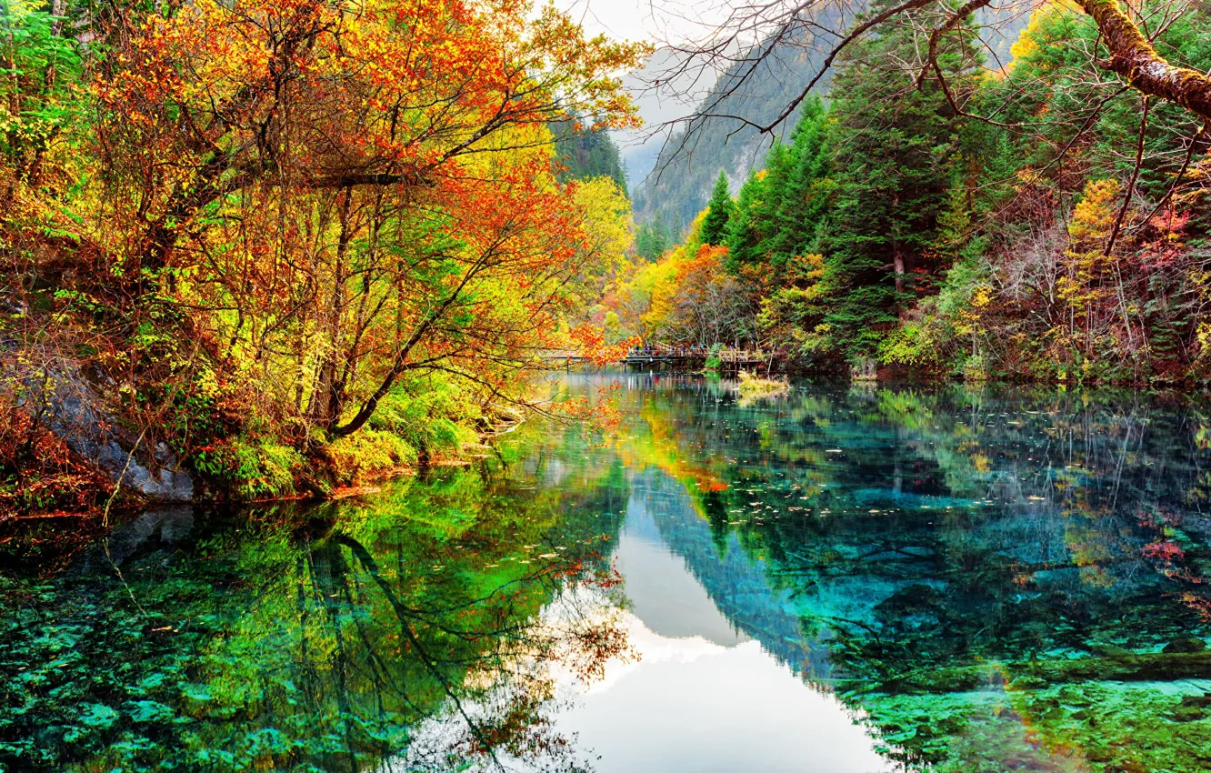 Photo wallpaper China, China, the reflection in the water, Autumn Park