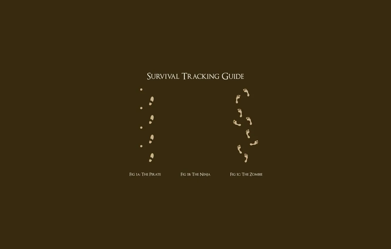 Photo wallpaper traces, background, pirate, zombies, ninja