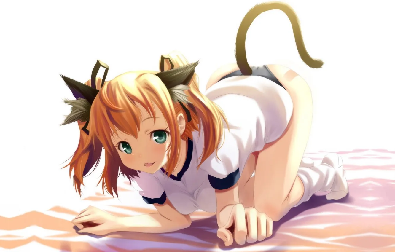 Photo wallpaper t-shirt, tail, standing on all fours, neko girl, cat ears, redhead girl, neko chan