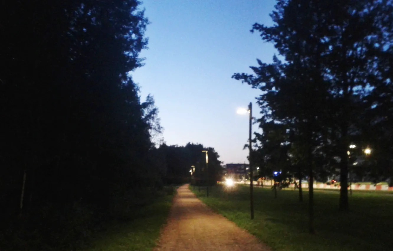 Photo wallpaper road, night, lantern