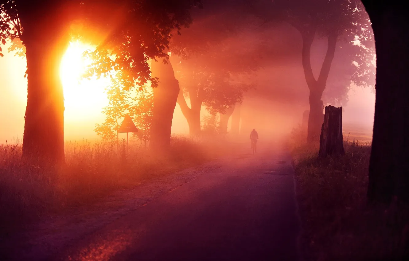 Photo wallpaper road, the sun, trees, landscape, nature, bike, sport, people