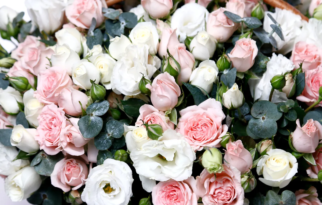 Photo wallpaper roses, bunch, eustoma