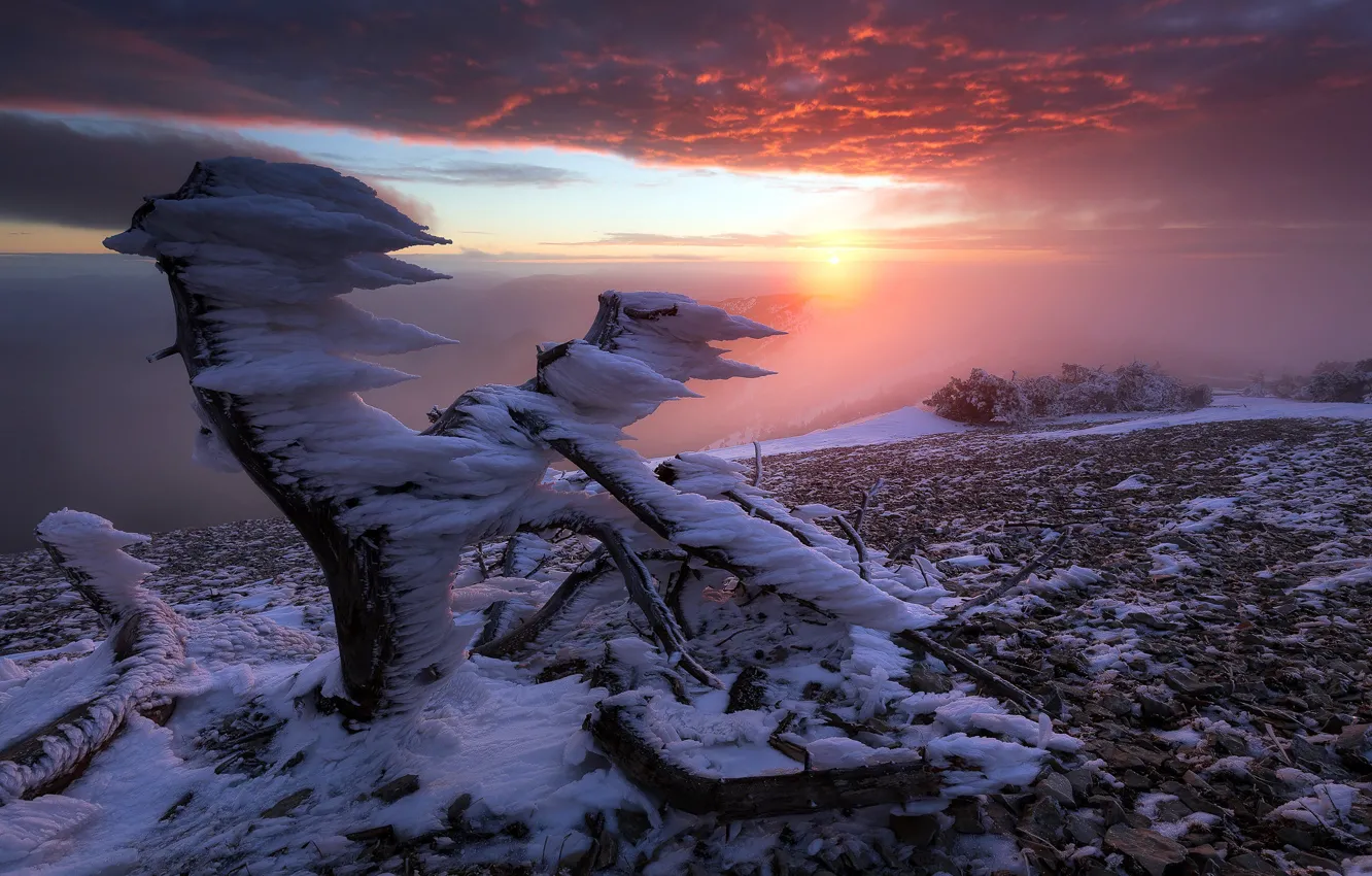 Photo wallpaper France, Sunrise, North face of Mt Ventoux, Rest in Peace