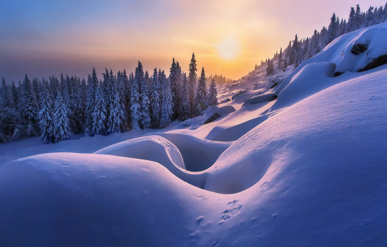 Photo wallpaper winter, forest, snow, trees, ate, slope, the snow, Russia