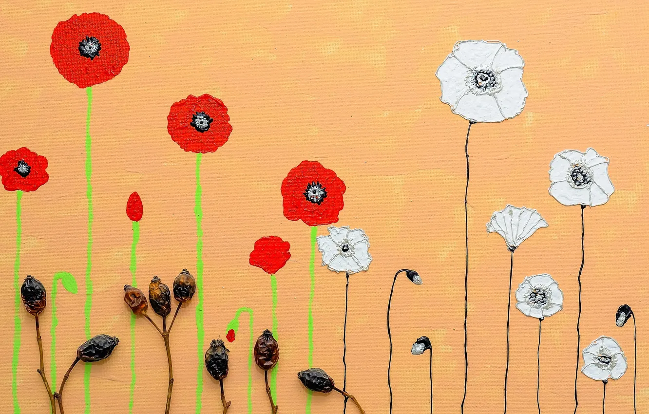 Photo wallpaper flowers, background, color