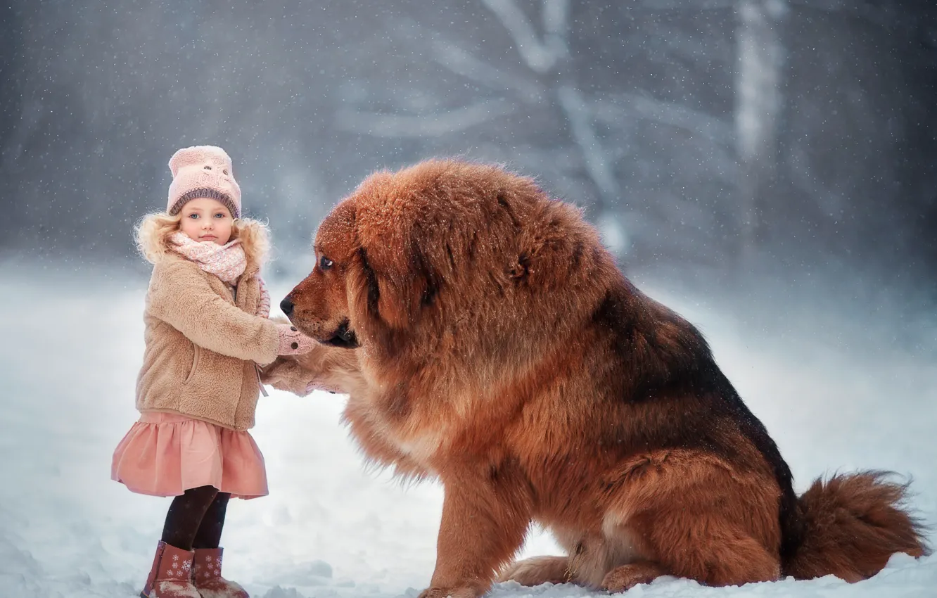 Photo wallpaper winter, snow, mood, dog, friendship, girl, friends, dog