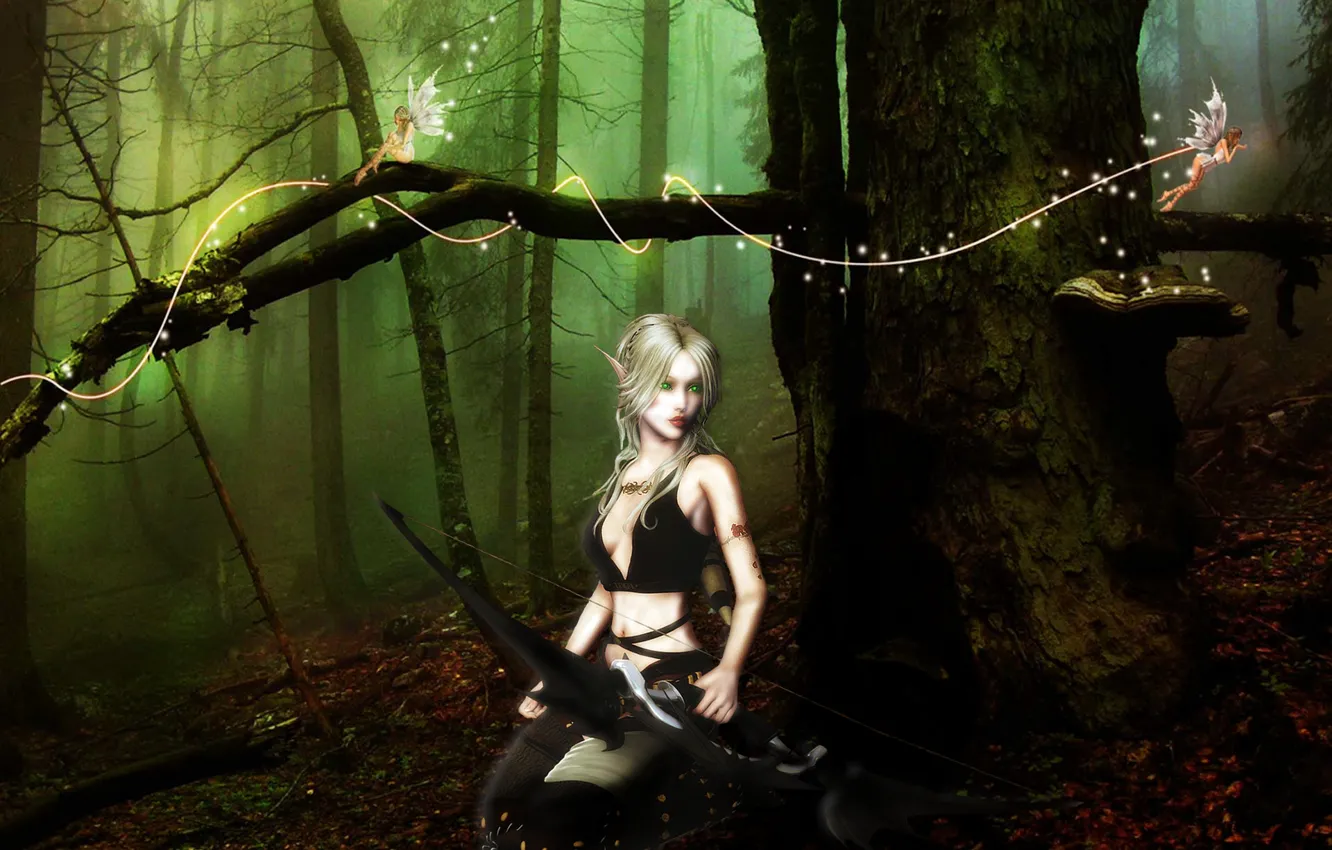 Photo wallpaper fantasy, art, woods, Ranger, fairies, Female Elf
