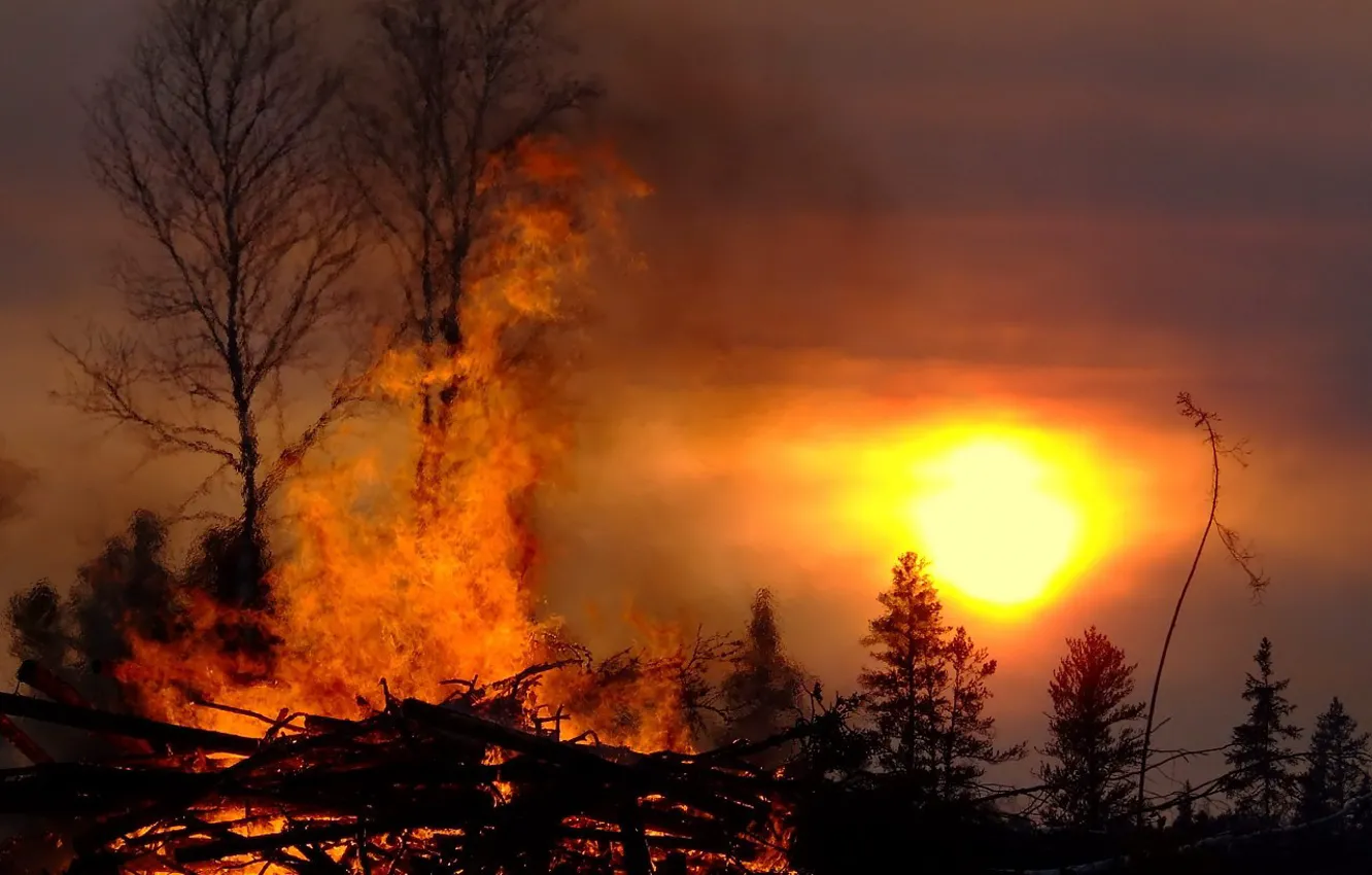 Photo wallpaper the sun, lights, the fire