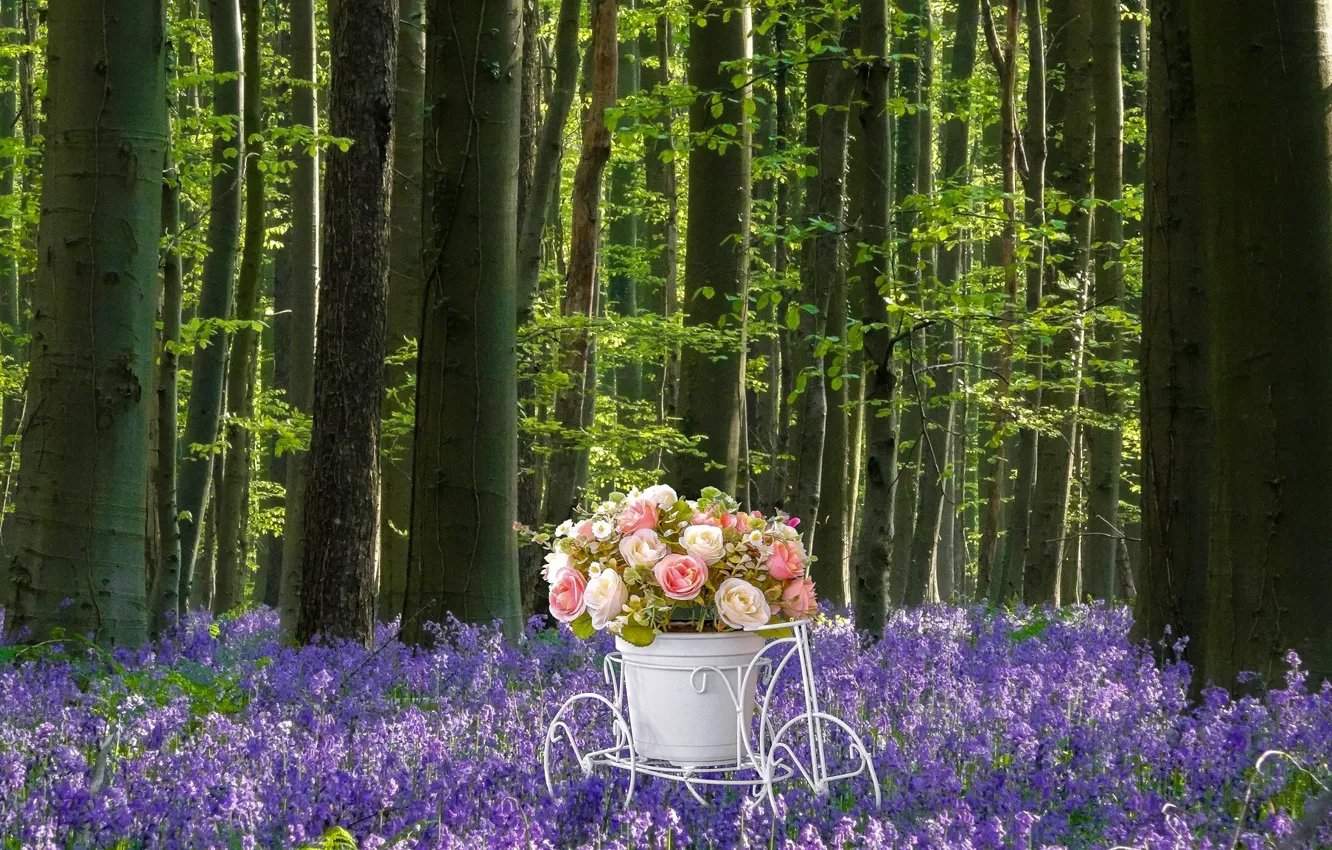 Photo wallpaper forest, white, flowers, bike, glade, roses, bouquet, pot