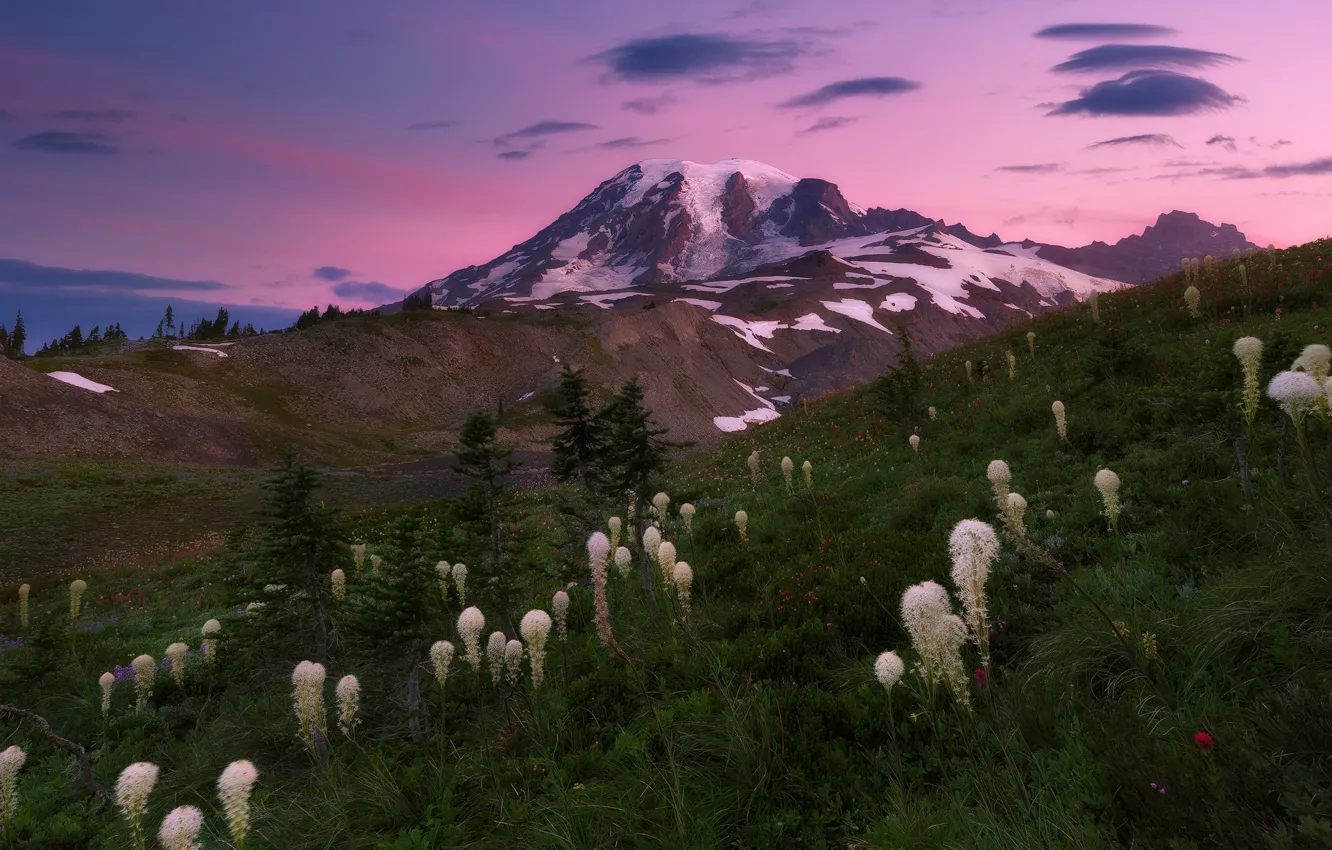 Photo wallpaper the sky, flowers, mountain, the evening, morning, slope, USA