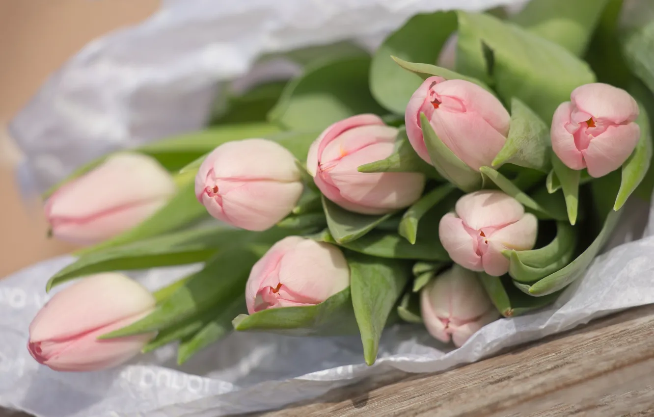 Photo wallpaper flowers, bouquet, tulips, pink, buds