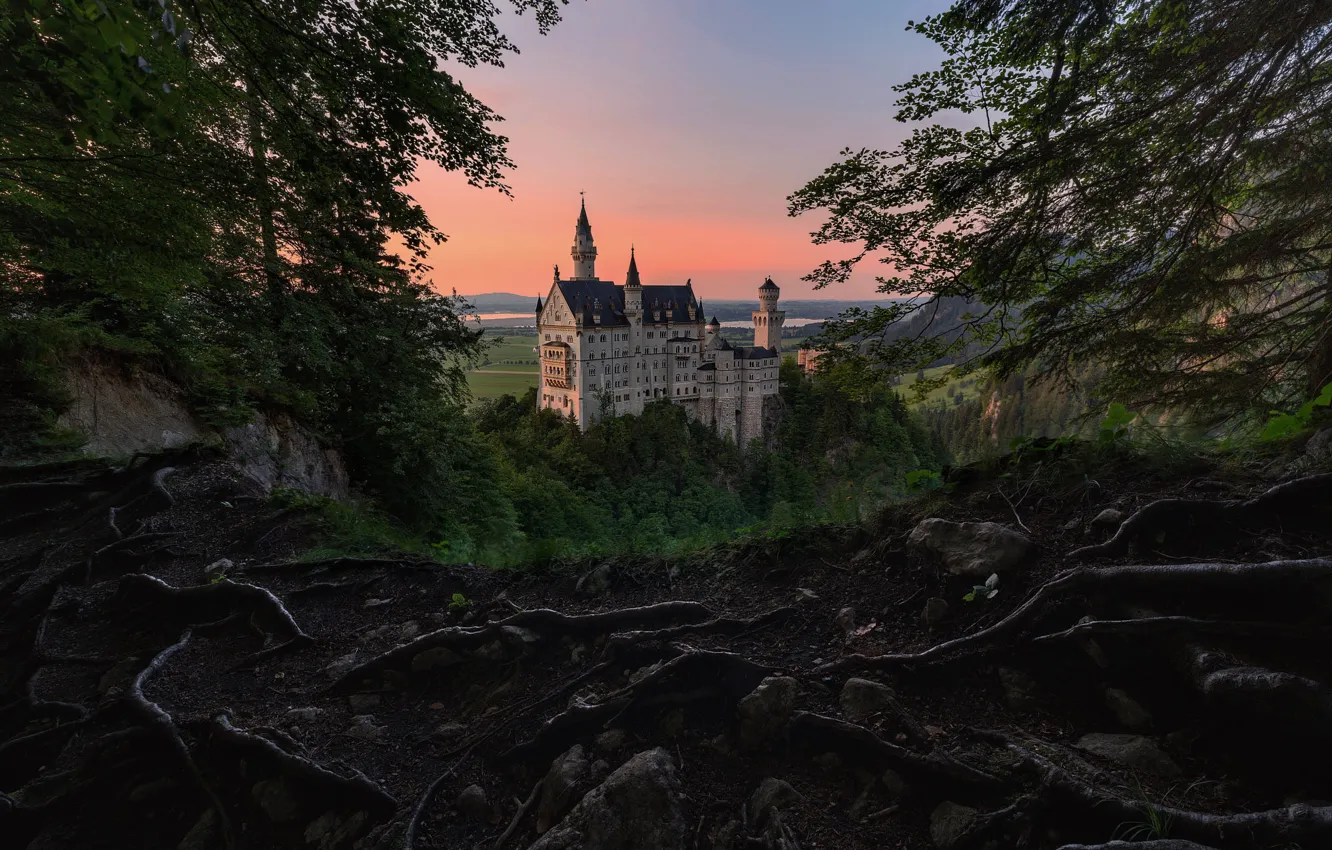 Photo wallpaper forest, trees, roots, castle, view, Germany, Neuschwanstein