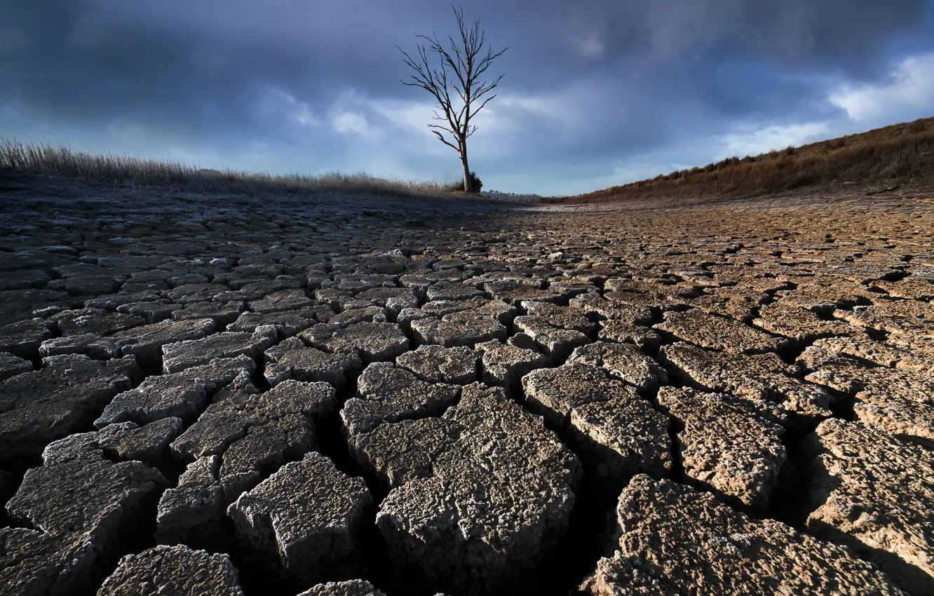 Photo wallpaper the sky, trees, earth