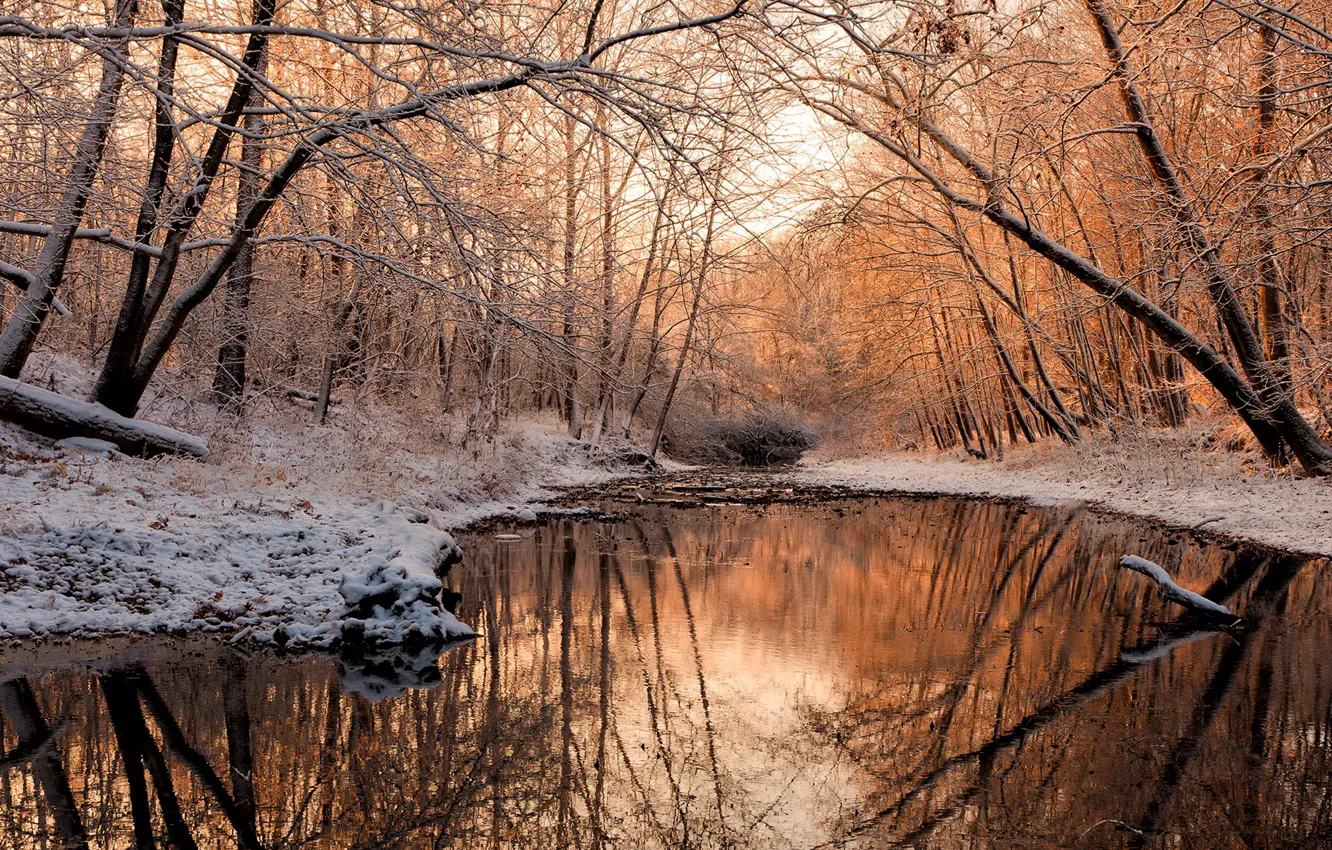 Photo wallpaper winter, water, snow, trees, river, Aleksandr Razgulyaev